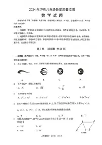 四川省泸州市泸县2023-2024学年八年级下学期6月期末数学试题