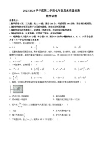 安徽省合肥市蜀山区2023-2024学年七年级下学期期末数学试题(无答案)