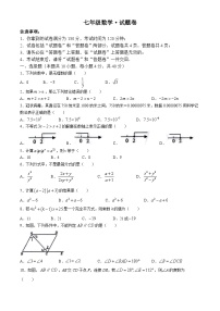 安徽省淮南市寿县2023-2024学年七年级下学期期末数学试题(无答案)