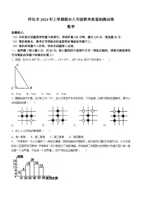 湖南省怀化市2023-2024学年八年级下学期期末数学试题