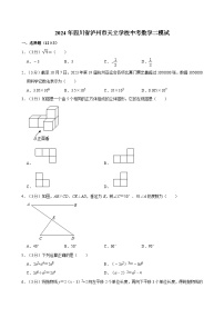 2024年四川省泸州市天立学校中考数学二模试卷