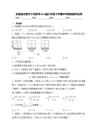 安徽省合肥市十校联考2024届九年级下学期中考模拟数学试卷(含答案)