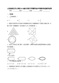 山东省枣庄市山亭区2024届九年级下学期学业水平模拟考试数学试卷(含答案)