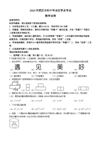 2024年湖北省武汉市中考数学试题(无答案)