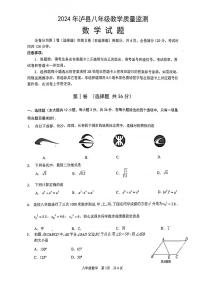 四川省泸州市泸县2023-2024学年八年级下学期6月期末数学试题
