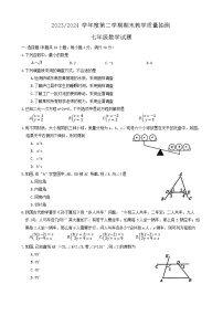 安徽省合肥市庐江县2023-2024学年七年级下学期6月期末数学试题