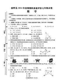 河南省南阳市新野县2023-2024学年七年级下学期6月期末数学试题