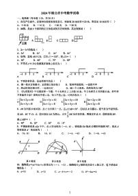 2024年湖北省中考数学试题及解析