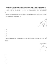 初中数学北师大版九年级上册4 探索三角形相似的条件当堂达标检测题