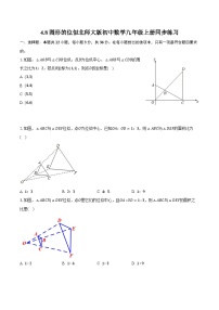 数学九年级上册8 图形的位似课后测评