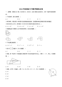 2024年海南省中考数学模拟试卷+