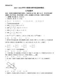 河南省鹤壁市2023-2024学年七年级下学期期末数学试题