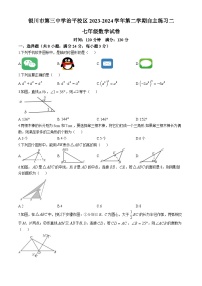宁夏回族自治区银川市第三中学治平校区2023-2024学年七年级下学期6月月考数学试题