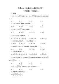 浙教版八年级数学下册 专题1.12 二次根式（全章复习与巩固）（巩固篇）（专项练习）