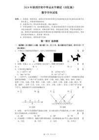 2024年广东深圳中考真题数学试题+答案