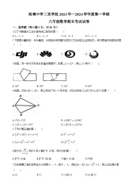 海南省海口市实验中学2023-2024学年八年级上学期期末数学试题(无答案)