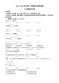 河南省洛阳市宜阳县2023-2024学年七年级下学期期末数学试题