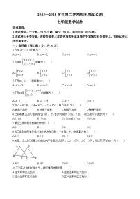 河南省洛阳市宜阳县2023-2024学年七年级下学期期末数学试题