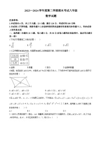 河南省漯河市2023-2024学年八年级下学期期末数学试题