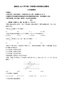 浙江省湖州市德清县2023-2024学年七年级下学期期末数学试题