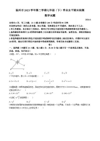 浙江省温州市2023-2024学年七年级下学期期末数学试题