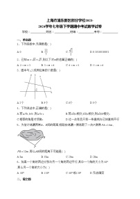 上海市浦东新区部分学校2023-2024学年七年级下学期期中考试数学试卷(含答案)