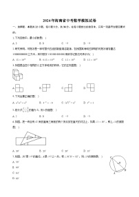 2024年海南省中考数学模拟试卷+