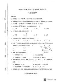 河南省新乡市长垣市2023-2024学年八年级下学期期末考试数学试卷