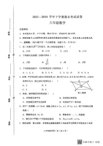 河南省新乡市长垣市2023-2024学年八年级下学期期末考试数学试卷