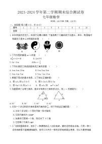 河南省周口市沈丘县中英文等校2023-2024学年七年级下学期6月期末考试数学试题