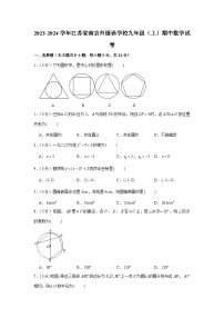 2023-2024学年江苏省南京外国语学校九年级（上）期中数学试卷