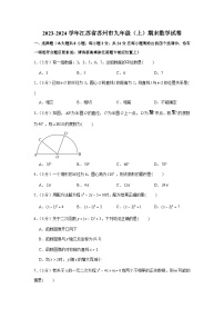 2023-2024学年江苏省苏州市九年级（上）期末数学试卷