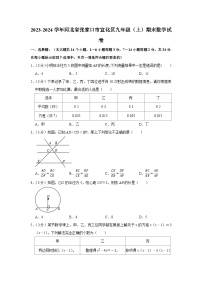 2023-2024学年河北省张家口市宣化区九年级（上）期末数学试卷