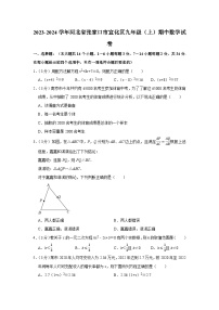 2023-2024学年河北省张家口市宣化区九年级（上）期中数学试卷