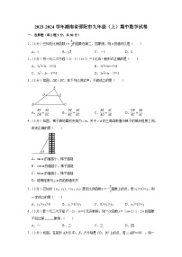 2023-2024学年湖南省邵阳市九年级（上）期中数学试卷