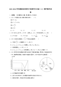 2023-2024学年湖南省岳阳市六校联考九年级（上）期中数学试卷