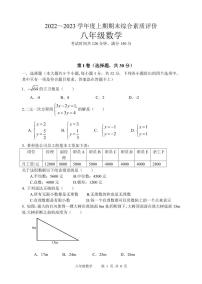 2022-2023学年度上期末综合素质测评八年级数学试卷