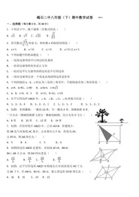 [数学]广东省汕尾市陆丰市碣石镇第二中数学2023～2024学年八年级下学期期中数学试题(有答案)