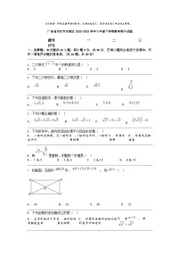 [数学]广东省阳江市江城区2023-2024数学年八年级下学期数学期中试题