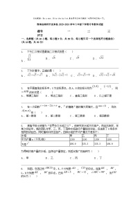 [数学]湖南省郴州市宜章县2023-2024数学年八年级下学期月考数学试题