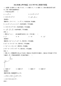 [数学]河北省唐山市丰南区2024年中考二模试题(解析版)