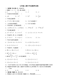 河南省漯河市实验中学2023-2024学年七年级下学期期中数学试题(无答案)