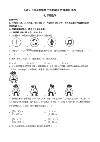 河南省周口市淮阳区2023-2024学年七年级下学期期末数学试题