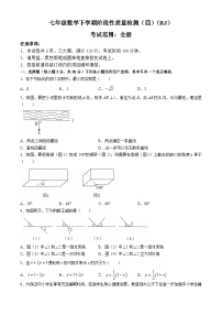 河南省周口市西华县青华中英文学校2023-2024学年七年级下学期6月月考数学试题