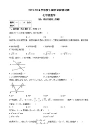 河南省驻马店市确山县2023-2024学年七年级下学期期末数学试题