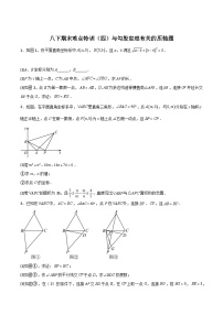 人教版八年级数学下册常考点微专题提分精练期末难点特训(四)与勾股定理有关的压轴题(原卷版+解析)