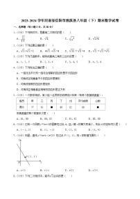 河南省信阳市淮滨县2023-2024学年+下学期期末考试八年级数学试题