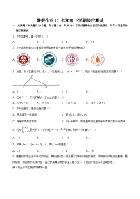 2024年七年级数学暑假培优练（人教版）-暑假作业12 七年级下学期综合测试（原卷版+解析版）