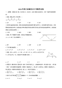 2024年四川省南充市中考数学试卷（含解析）