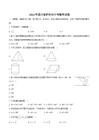 2024年四川省泸州市中考数学试卷（含解析）